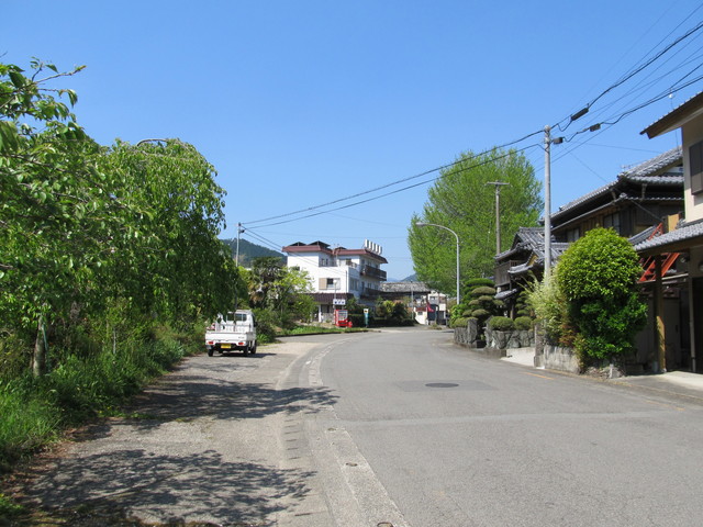 t13_247.jpg