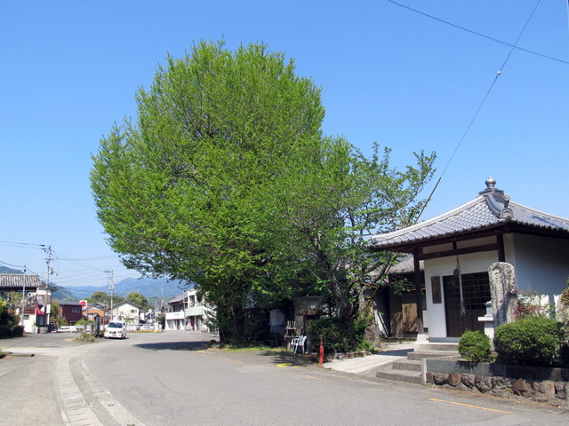 t13_248.jpg