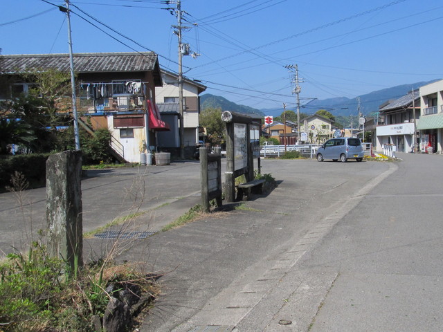 t13_249.jpg