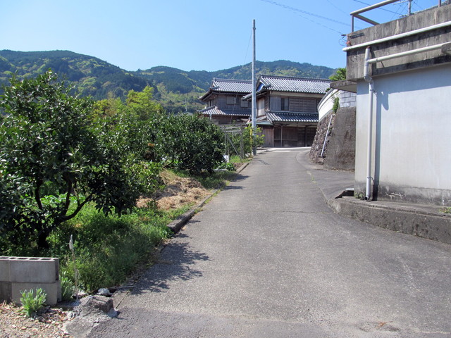 t14_008.jpg