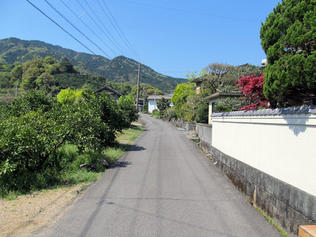 t14_011.jpg