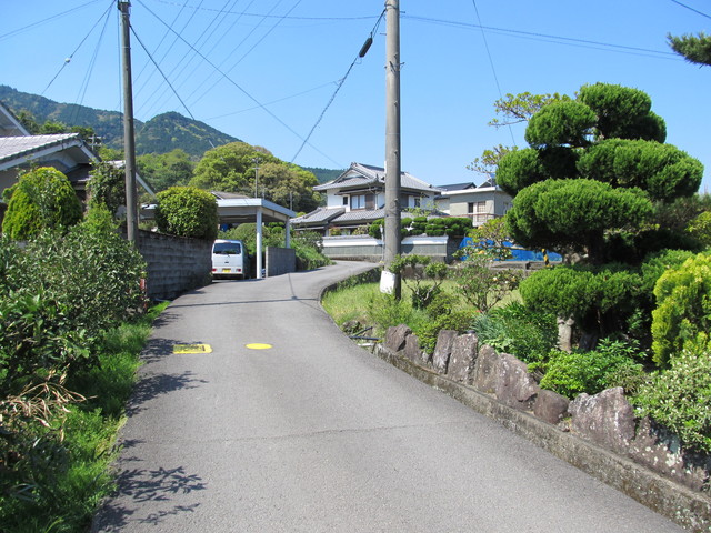 t14_012.jpg