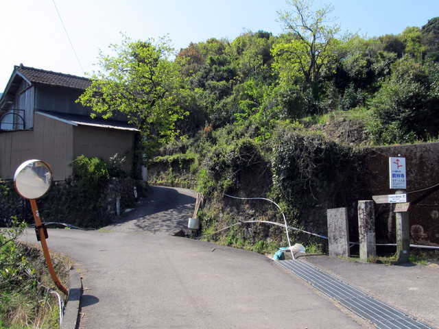 t14_013.jpg