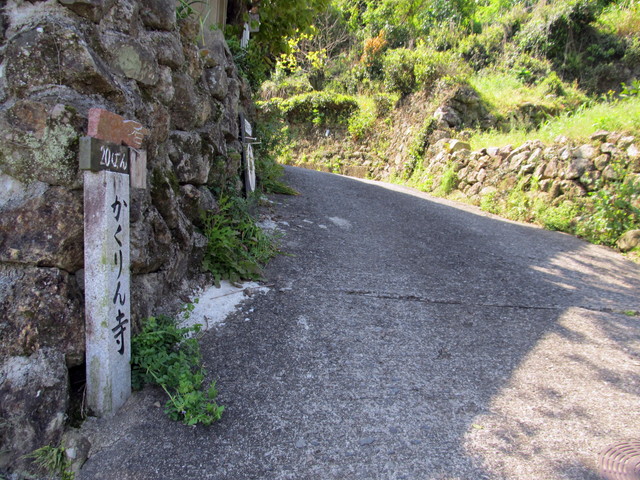 t14_014.jpg