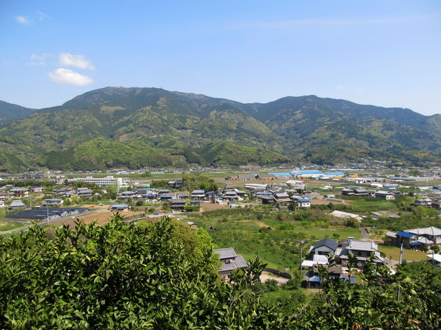 t14_021.jpg