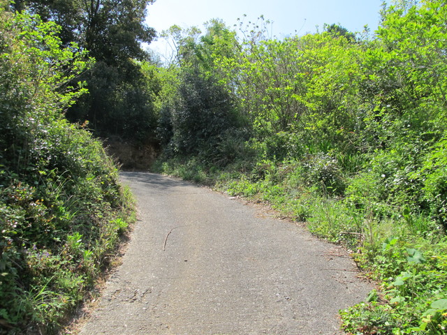 t14_022.jpg
