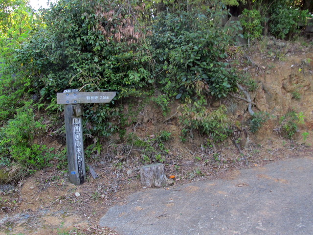 t14_023.jpg