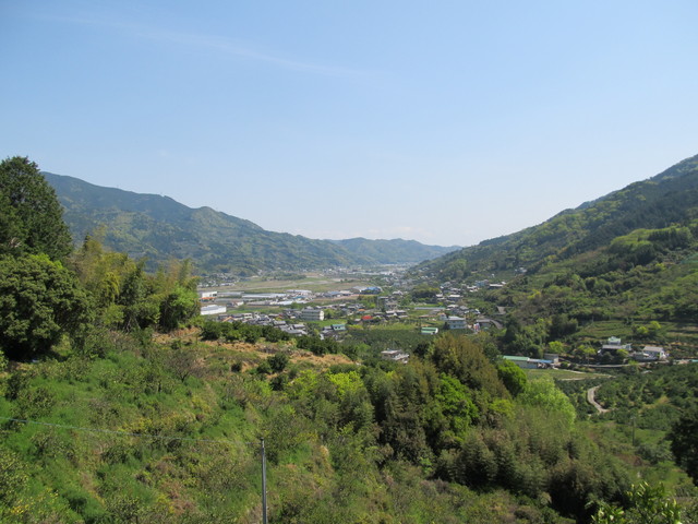 t14_029.jpg