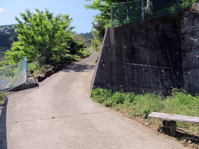 t14_030.jpg