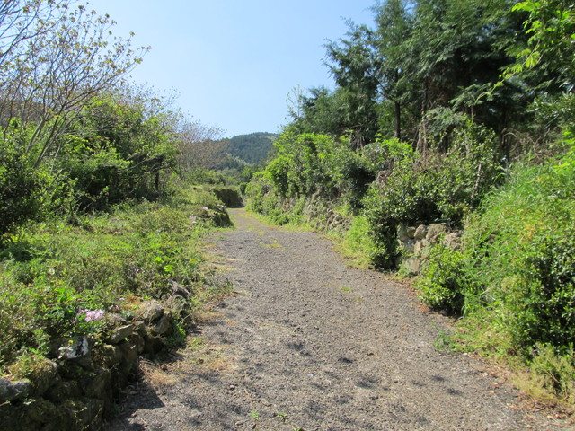 t14_031.jpg