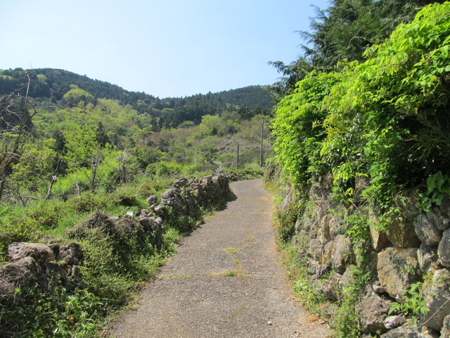 t14_032.jpg
