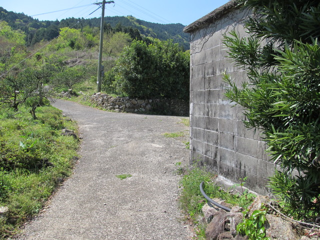 t14_033.jpg