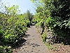 t14_036_thumb.jpg