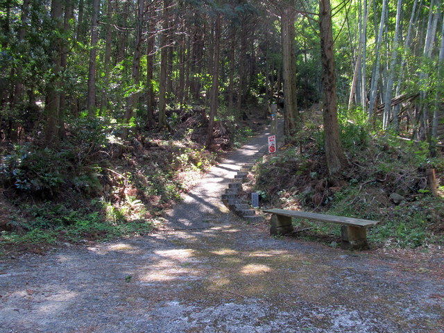 t14_039.jpg