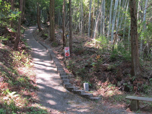 t14_040.jpg