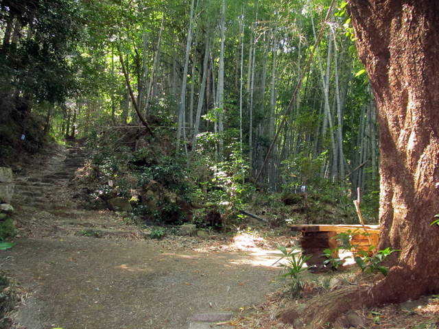 t14_041.jpg