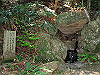 t14_043_thumb.jpg