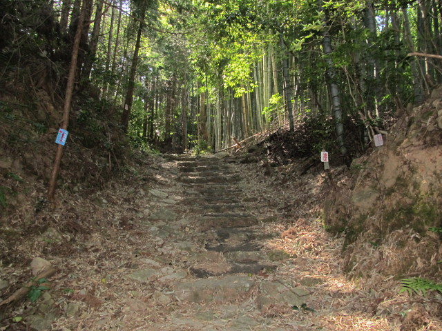 t14_044.jpg