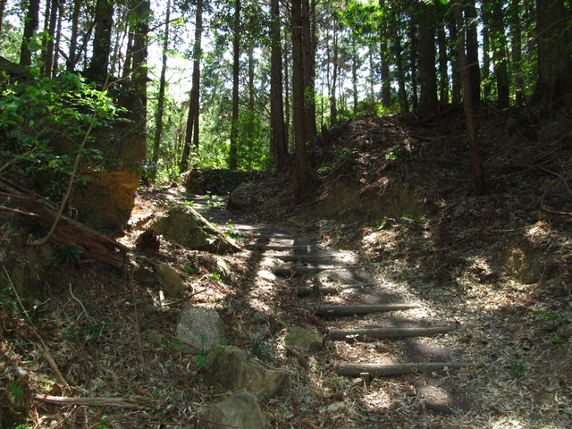 t14_045.jpg