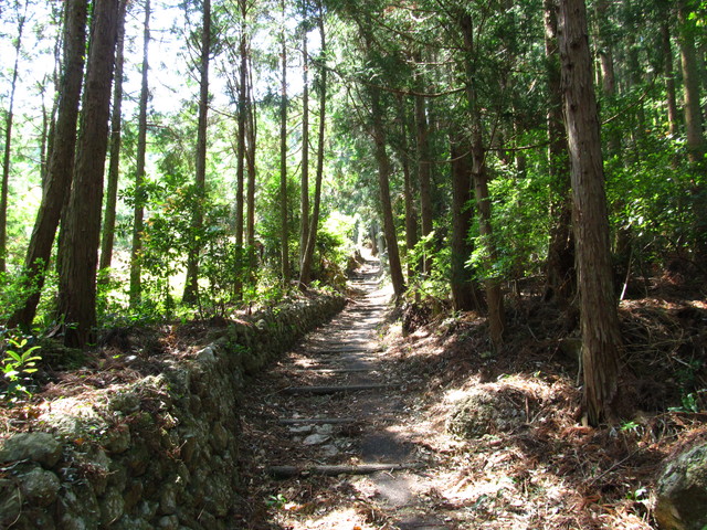 t14_046.jpg