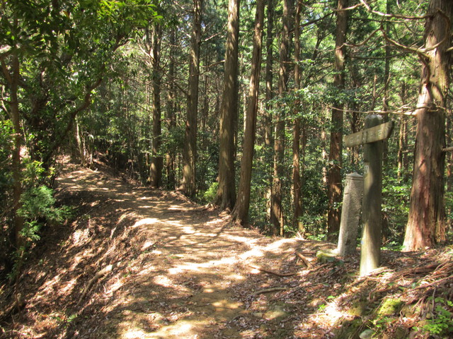 t14_063.jpg