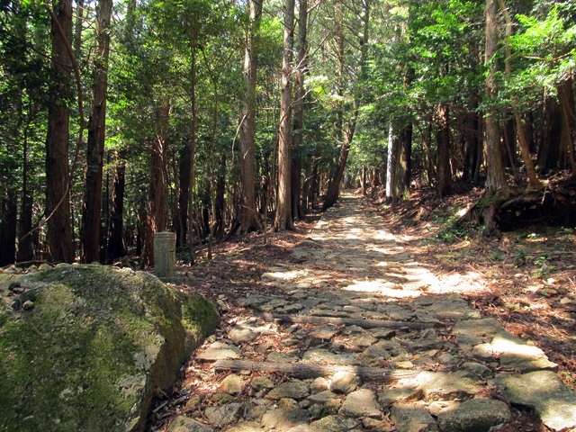 t14_072.jpg