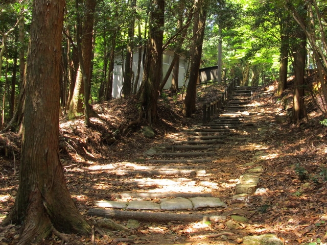 t14_073.jpg