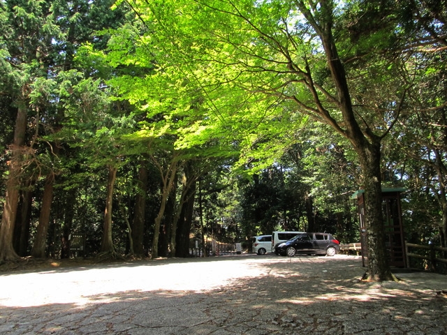 t14_074.jpg