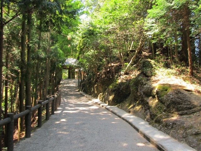 t14_075.jpg