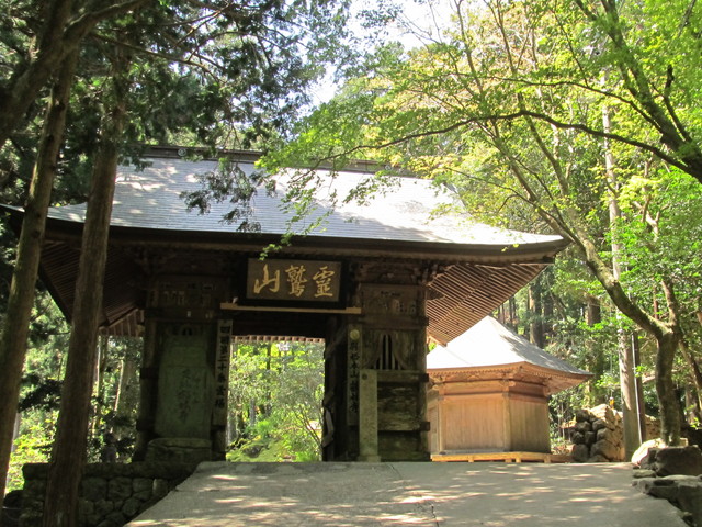 t14_076.jpg