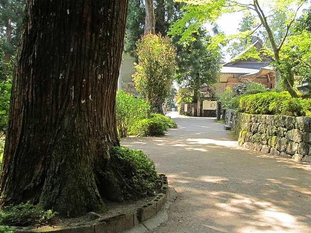 t14_079.jpg
