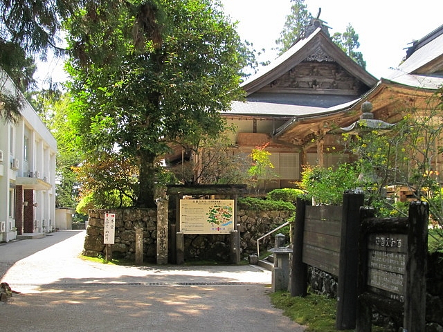 t14_080.jpg