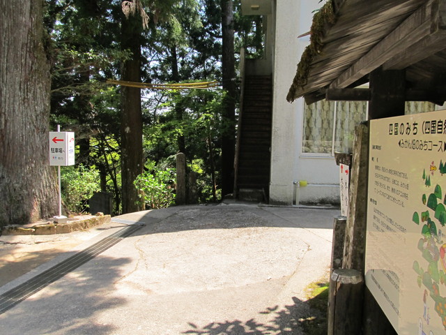 t14_082.jpg