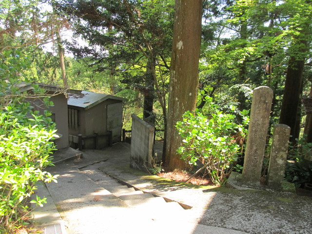 t14_084.jpg