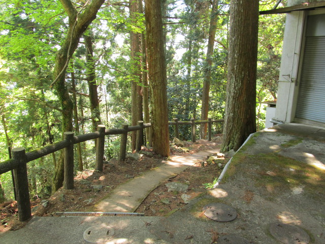 t14_085.jpg