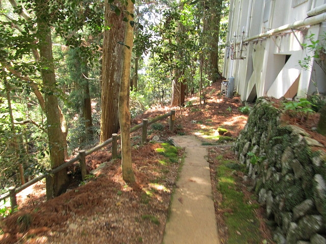 t14_086.jpg