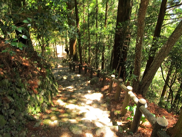 t14_087.jpg