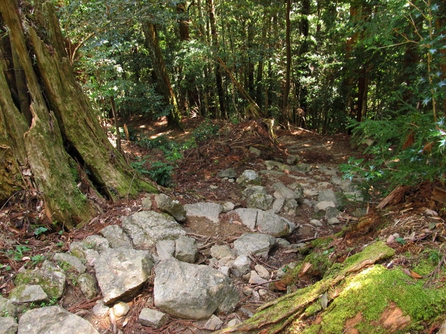 t14_089.jpg