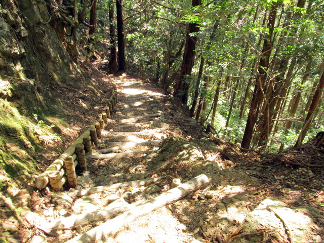 t14_094.jpg
