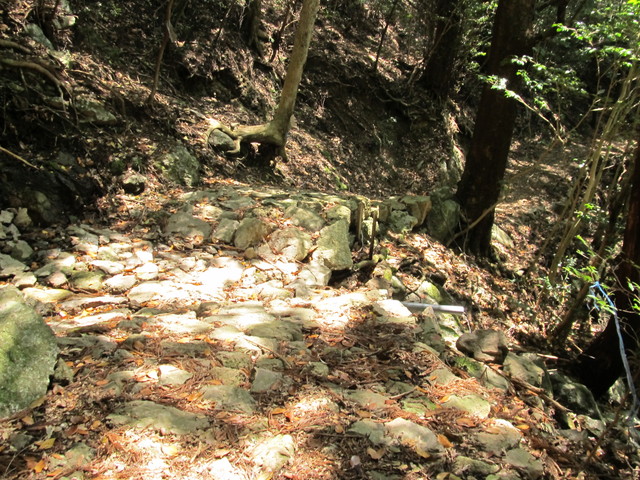t14_095.jpg