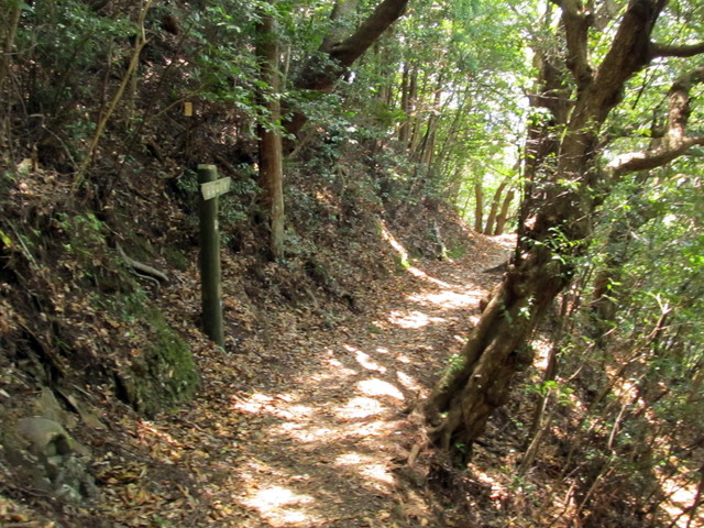 t14_096.jpg