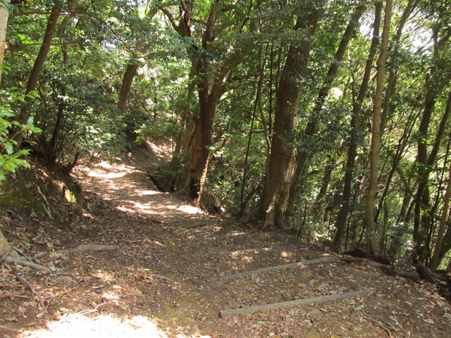t14_099.jpg