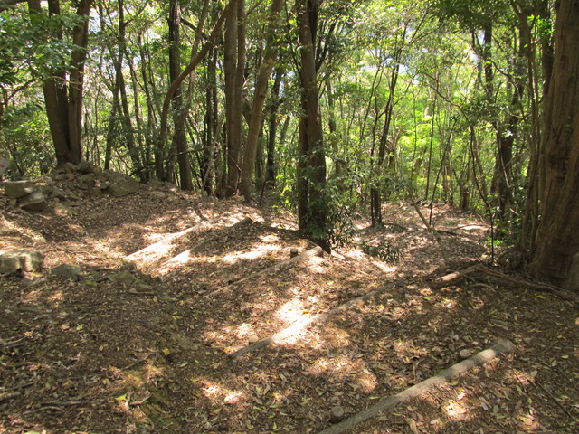 t14_103.jpg