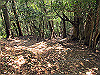 t14_105_thumb.jpg