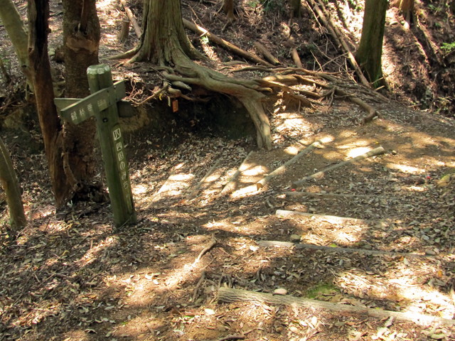 t14_106.jpg