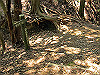 t14_106_thumb.jpg