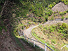 t14_115_thumb.jpg