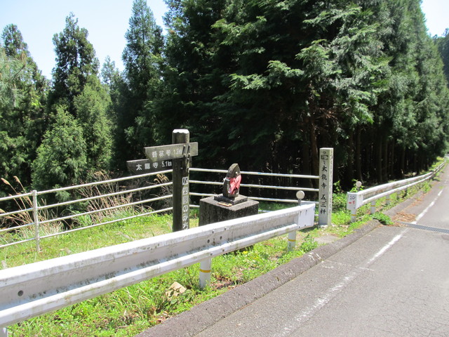 t14_117.jpg