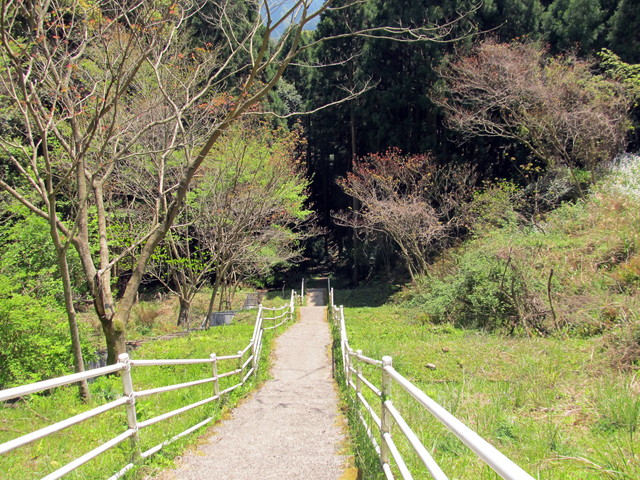 t14_120.jpg