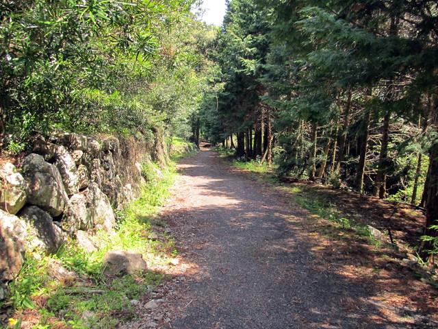 t14_129.jpg